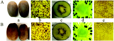 Graphical abstract: Effect of selenium-enriched kiwifruit on body fat reduction and liver protection in hyperlipidaemic mice