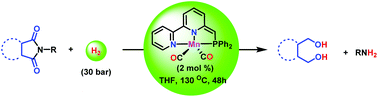 Graphical abstract: Manganese catalyzed selective hydrogenation of cyclic imides to diols and amines