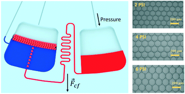 Graphical abstract: Buoyancy-driven step emulsification on pneumatic centrifugal microfluidic platforms