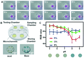 Microengineered poly(HEMA) hydrogels for wearable contact lens ...