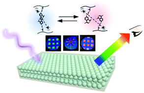 Graphical abstract: Photo-responsive photonic hydrogel: in situ manipulation and monitoring of cell scaffold stiffness