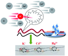 Graphical abstract: Scalable approach towards specific and ultrasensitive cation sensing under harsh environmental conditions by engineering the analyte–transducer interface