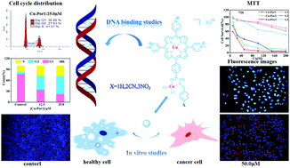 Graphical abstract: Novel water-soluble Cu(ii) complexes based on acylhydrazone porphyrin ligands for DNA binding and in vitro anticancer activity as potential therapeutic targeting candidates