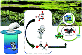 Graphical abstract: Fabrication of mesoporous carbon supported Ni–Mo catalysts for the enhanced conversion of glucose to ethylene glycol