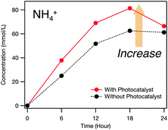 Graphical abstract: Formation of ammonium ions by electrochemical oxidation of urea with a boron-doped diamond electrode