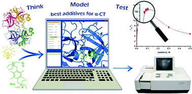 Graphical abstract: Refining the model to design α-chymotrypsin superactivators: the role of the binding mode of quaternary ammonium salts