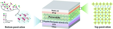 Graphical abstract: Bifacial passivation towards efficient FAPbBr3-based inverted perovskite light-emitting diodes