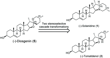 Graphical abstract: Asymmetric synthesis of (−)-solanidine and (−)-tomatidenol