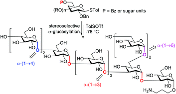 Graphical abstract: Stereoselective synthesis of a branched α-decaglucan
