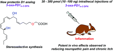 Graphical abstract: A new synthetic protectin D1 analog 3-oxa-PD1n-3 DPA reduces neuropathic pain and chronic itch in mice