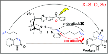 Graphical abstract: Regioselectivity and stereoselectivity of intramolecular [2 + 2] photocycloaddition catalyzed by chiral thioxanthone: a quantum chemical study