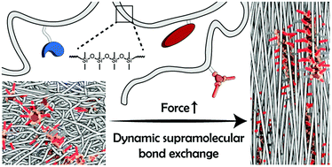 Graphical abstract: Tuning polymer properties of non-covalent crosslinked PDMS by varying supramolecular interaction strength