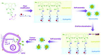 Graphical abstract: End-functionalised glycopolymers as glycosaminoglycan mimetics inhibit HeLa cell proliferation