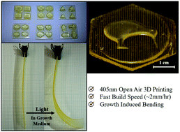 Graphical abstract: 3D printing and growth induced bending based on PET-RAFT polymerization