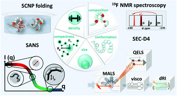 Graphical abstract: An in-depth analysis approach enabling precision single chain nanoparticle design