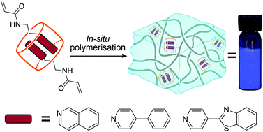 Graphical abstract: Supramolecular hydrogels prepared from fluorescent alkyl pyridinium acrylamide monomers and CB[8]