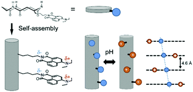 Graphical abstract: Engineering pH-responsive switching of donor–π–acceptor chromophore alignments along a peptide nanotube scaffold