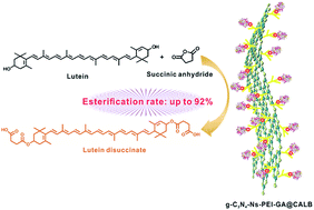 Graphical abstract: Synthesis of lutein esters using a novel biocatalyst of Candida antarctica lipase B covalently immobilized on functionalized graphitic carbon nitride nanosheets