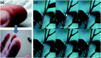 Advances In Intrinsic Self-healing Polyurethanes And Related Composites ...