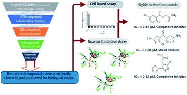 Identification of novel bacterial urease inhibitors through molecular ...