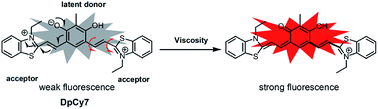 Graphical abstract: A deep-red fluorescent molecular rotor based on donor-two-acceptor modular system for imaging mitochondrial viscosity