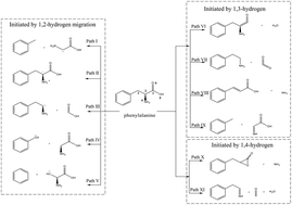 Graphical abstract: Density functional theory-based investigation of HCN and NH3 formation mechanisms during phenylalanine pyrolysis