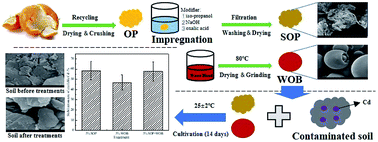 Graphical abstract: The performance of emerging materials derived from waste organism blood and saponified modified orange peel for immobilization of available Cd in soil