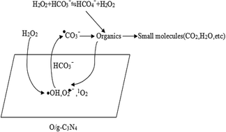 Graphical abstract: Oxygen doped graphitic carbon nitride nanosheets for the degradation of organic pollutants by activating hydrogen peroxide in the presence of bicarbonate in the dark