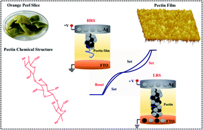 Graphical abstract: Green thin film for stable electrical switching in a low-cost washable memory device: proof of concept