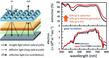 Graphical abstract: Characterization of optical manipulation using microlens arrays depending on the materials and sizes in organic photovoltaics