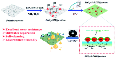 Graphical abstract: Preparation of fluorine-free superhydrophobic and wear-resistant cotton fabric with a UV curing reaction for self-cleaning and oil/water separation