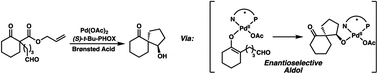 Graphical abstract: Catalytic enantioselective synthesis of carbocyclic and heterocyclic spiranes via a decarboxylative aldol cyclization