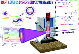 Graphical abstract: In situ SAXS studies of a prototypical RAFT aqueous dispersion polymerization formulation: monitoring the evolution in copolymer morphology during polymerization-induced self-assembly