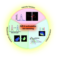 Activatable fluorescence sensors for in vivo bio-detection in the ...