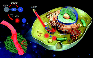 A singlet oxygen self-reporting photosensitizer for cancer phototherapy ...