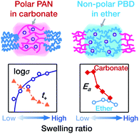 Graphical abstract: Quantification of the ion transport mechanism in protective polymer coatings on lithium metal anodes