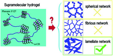 Graphical abstract: The intrinsic microstructure of supramolecular hydrogels derived from α-cyclodextrin and pluronic F127: nanosheet building blocks and hierarchically self-assembled structures