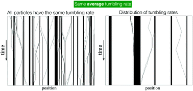 Graphical abstract: Active mixtures in a narrow channel: motility diversity changes cluster sizes