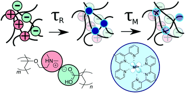 Graphical abstract: Complex coacervation and metal–ligand bonding as synergistic design elements for aqueous viscoelastic materials