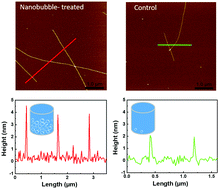 Graphical abstract: The effects of nanobubbles on the assembly of glucagon amyloid fibrils