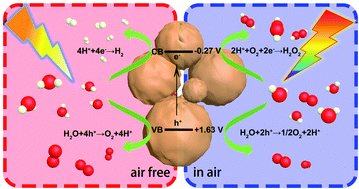 Graphical abstract: A function-switchable metal-free photocatalyst for the efficient and selective production of hydrogen and hydrogen peroxide