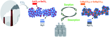 Graphical abstract: Unravelling the role of alkaline earth metal carbonates in intermediate temperature CO2 capture using alkali metal salt-promoted MgO-based sorbents