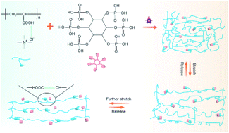 Graphical abstract: Polymerizable deep eutectic solvent-based mechanically strong and ultra-stretchable conductive elastomers for detecting human motions