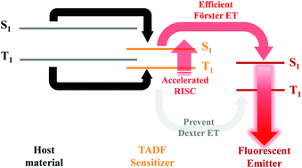 Graphical abstract: Design of thermally activated delayed fluorescent sensitizers for high efficiency over 20% and long lifetime in yellow fluorescent organic light-emitting diodes