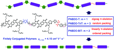 Graphical abstract: Remarkable effect of π-skeleton conformation in finitely conjugated polymer semiconductors