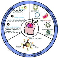 Graphical abstract: Radiotherapy for glioblastoma: clinical issues and nanotechnology strategies