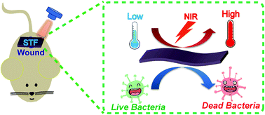 Graphical abstract: Skin-permissible NIR-actuated hyperthermia using a photothermally responsive hydrogel membrane for the effective treatment of antibiotic-resistant bacterial infection