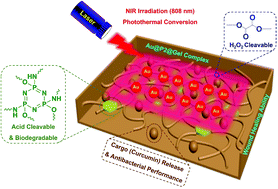 Graphical abstract: Highly flexible hydrogel dressing with efficient antibacterial, antioxidative, and wound healing performances