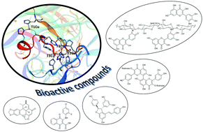 Graphical abstract: Laccase-mediated synthesis of bioactive natural products and their analogues