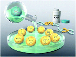 Graphical abstract: Xeno nucleic acids (XNAs) having non-ribose scaffolds with unique supramolecular properties